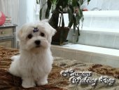 DSC01829-harmony