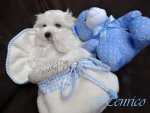 DSC01132-HENRICO