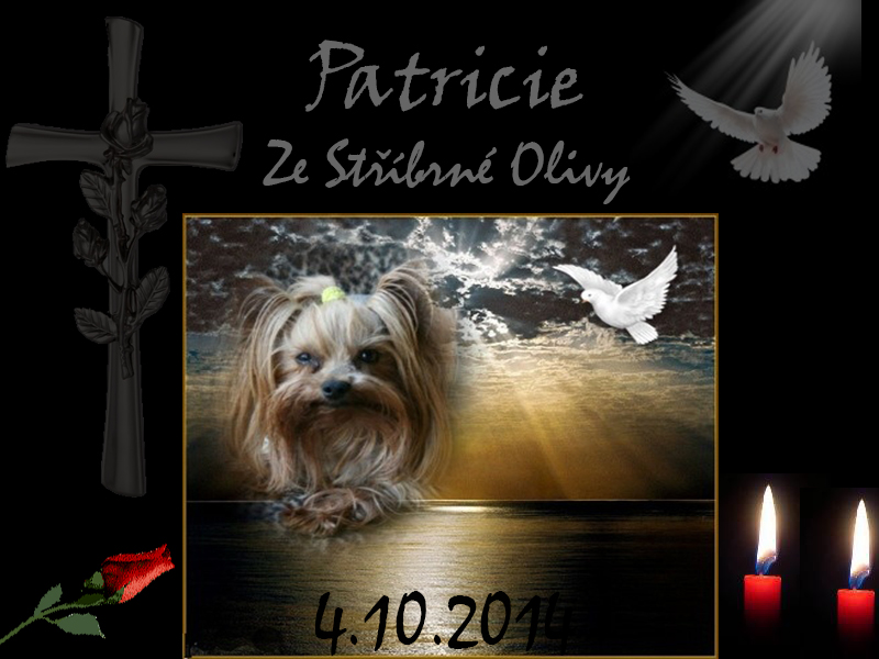 patricie-4.10.14