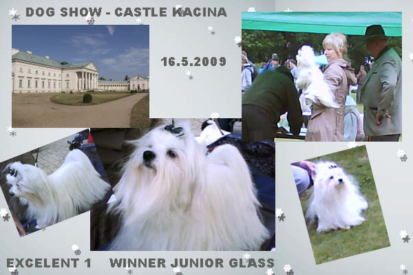 DOG SHOW-CASTLE KACINA