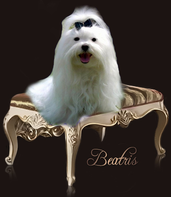 beatris-ikonka