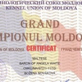 4-GRAND-MDA-MOLDAVIE