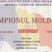 7-CH.MDA-MOLDAVIE