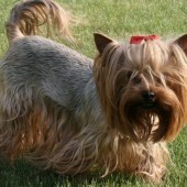 Kopie_IMG_0023_Změnit_velikost Kopie_IMG_0023_Změnit_velikost