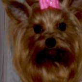 kif_0447_Změnit_velikost kif_0447_Změnit_velikost