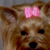 kif_0454_Změnit_velikost kif_0454_Změnit_velikost