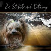 patricie-4.10.14 patricie-4.10.14