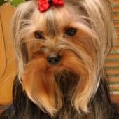 TERKA-WEB1 TERKA-WEB1