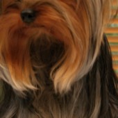 TERKA-WEB3 TERKA-WEB3