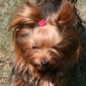 TERKA-WEB4 TERKA-WEB4