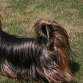 TERKA-WEB5 TERKA-WEB5