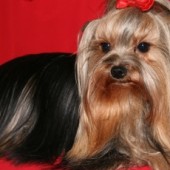 TERKA-WEB6 TERKA-WEB6