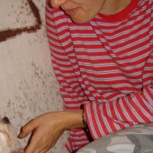 dsc00250_h dsc00250_h