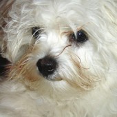 dsc00263_h dsc00263_h