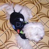 p1010007_h p1010007_h