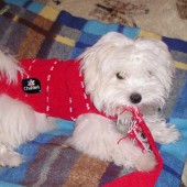 p1010009_h p1010009_h