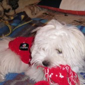 p1010010_h p1010010_h