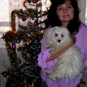 p1010013_h p1010013_h