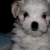 img_0397_Změnit_velikost img_0397_Změnit_velikost