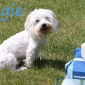 1364854226736375352 1364854226736375352