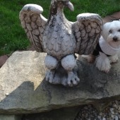 DSC06972-14.let DSC06972-14.let