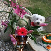 IMG_6266-1 IMG_6266-1