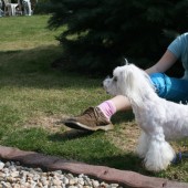 IMG_6270-1 IMG_6270-1