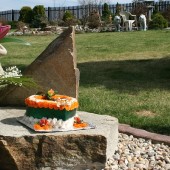 IMG_6282-1 IMG_6282-1