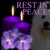 engie1292014 engie1292014