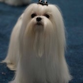 23415455_2137755189583630_6784330061202712559_o 23415455_2137755189583630_6784330061202712559_o