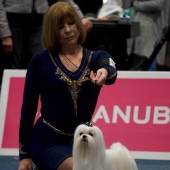 23559852_2137755152916967_6323536580082197997_n 23559852_2137755152916967_6323536580082197997_n