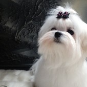 DSC07756-1 DSC07756-1