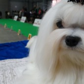 DSC08854-1 DSC08854-1