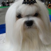 DSC08862-1 DSC08862-1