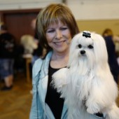 L1000536-1 L1000536-1