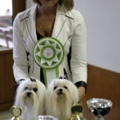 L1020672-3 L1020672-3