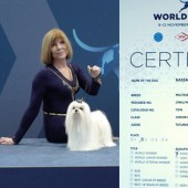 L1040098-kassandra-certifikat L1040098-kassandra-certifikat