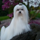 L1050090-kassandra L1050090-kassandra