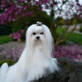 L1050098-kassandra L1050098-kassandra