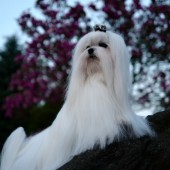 L1050102-kassandra L1050102-kassandra