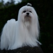 L1050112-KASSANDRA L1050112-KASSANDRA