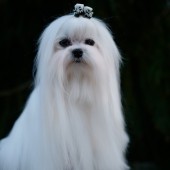 L1050126-KASSANDRA L1050126-KASSANDRA