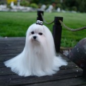 L1050184-KASSANDRA L1050184-KASSANDRA