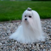 L1050201-KASSANDRA L1050201-KASSANDRA