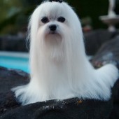 L1050252-KASSANDRA L1050252-KASSANDRA