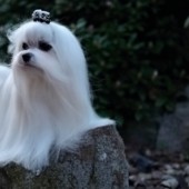 L1050264-KASSANDRA L1050264-KASSANDRA