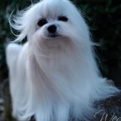 L1050267-KASSANDRA L1050267-KASSANDRA