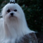 L1050273-KASSANDRA L1050273-KASSANDRA