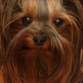 3f8ef30b7767adf2742f68f13796660a 3f8ef30b7767adf2742f68f13796660a