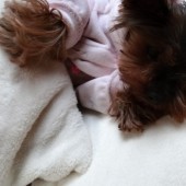 DSC04895-xena DSC04895-xena